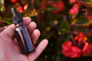 פרחי באך לרגש - תמיכה רגשית וטבעית לקשב וריכוז עם פרחי באך